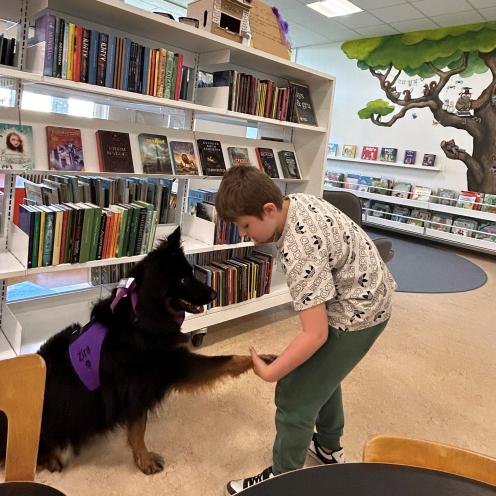 Zira laver tricks og får godbid fra en deltager på Ullerslev Bibliotek.