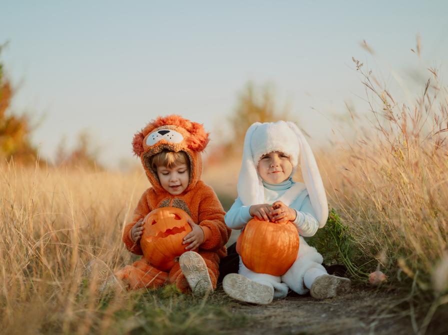 To søde børn sidder i græsset med halloweengræskar.