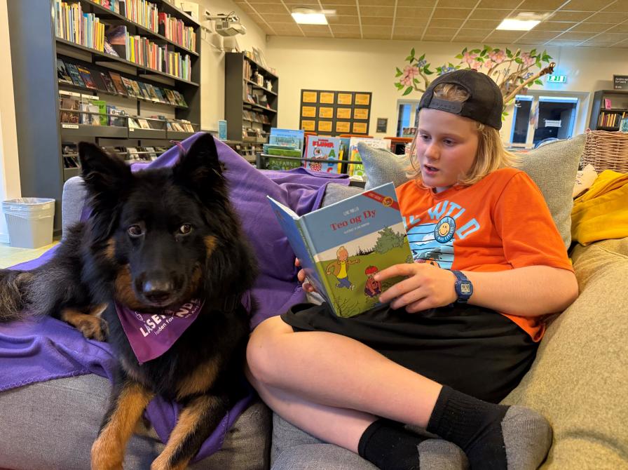 Zira på arbejde som Læsehund på Ørbæk Bibliotek.