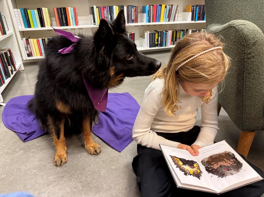 Zira får læst højt på Ullerslev Bibliotek.