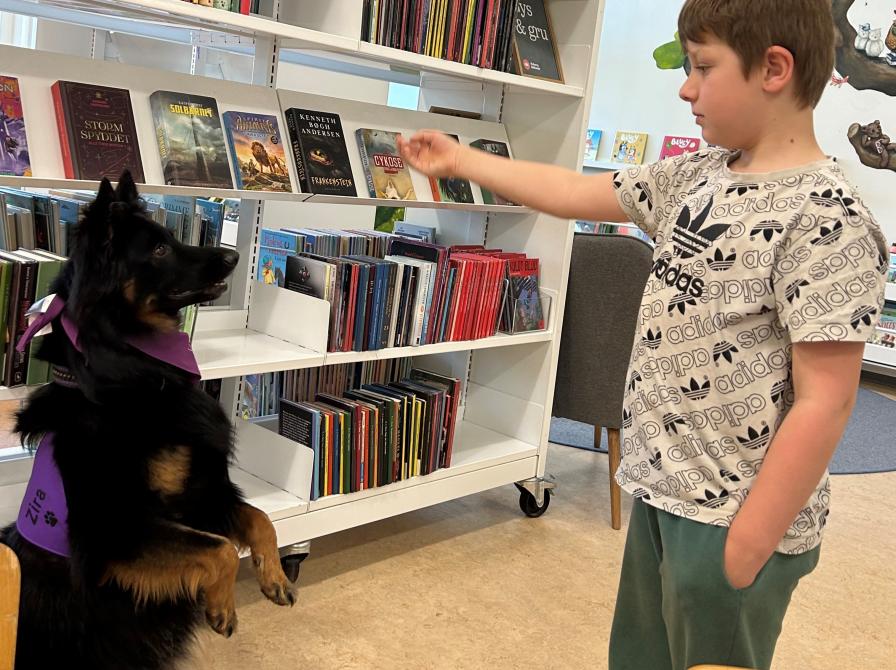 Zira laver tricks og får godbid fra en deltager på Ullerslev Bibliotek.